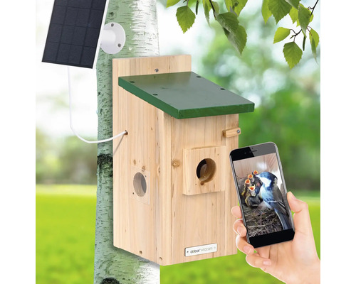 Nichoir avec panneau solaire et vue smartphone de la famille d'oiseaux