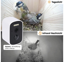 Caméra d'observation des oiseaux avec fonctions de vision diurne et nocturne infrarouge