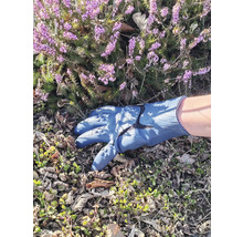 Gants de jardinage bleus utilisés à côté d'une bruyère fleurie