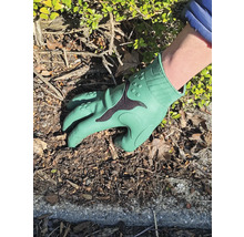 Gant de jardin vert utilisé pour le jardinage