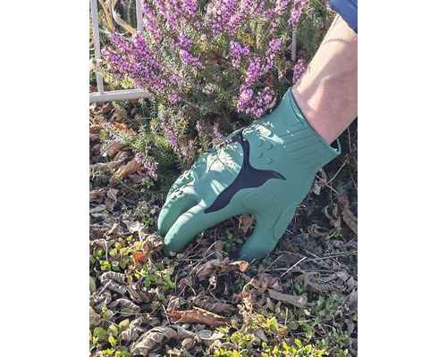 Jardinage avec des gants de jardin dans un parterre