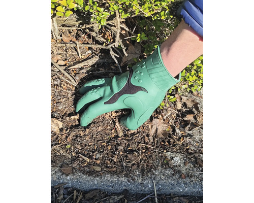 Jardinage avec des gants pour protéger les mains