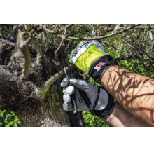 Personne portant des gants de jardinage coupant un arbre avec un sécateur