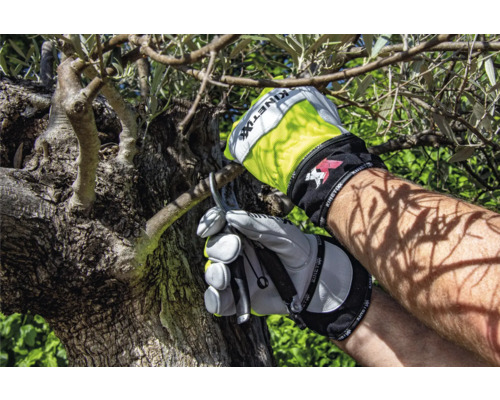 Personne portant des gants de jardinage coupant un arbre avec un sécateur