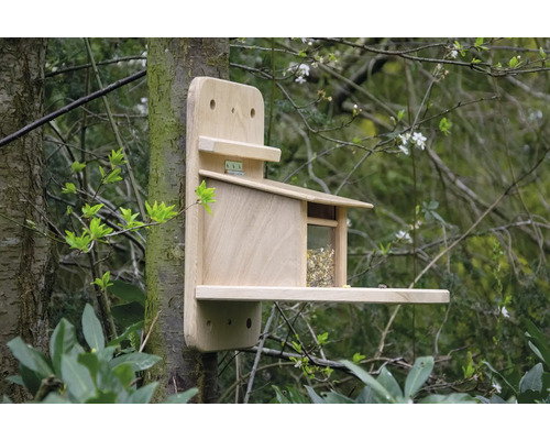 Mangeoire à oiseaux en bois avec distributeur de nourriture fixée à un arbre