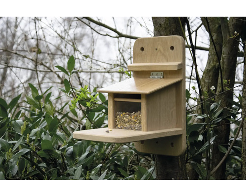 Nichoir en bois avec de la nourriture fixée à un arbre