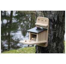 Mangeoire à écureuils en bois à fixer sur un tronc d'arbre