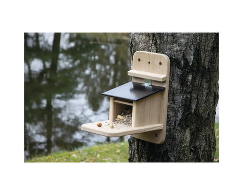 Mangeoire à écureuils en bois à fixer sur un tronc d'arbre