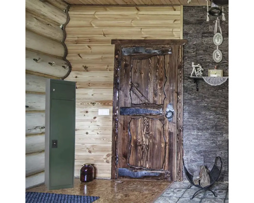 Intérieur rustique avec murs en bois, porte en bois et armoire métallique