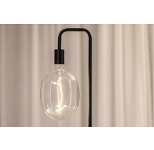 Stehleuchte mit transparentem, birnenförmigem Lampenschirm und schwarzem Gestell