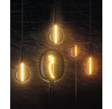 Verschiedene dekorative Glühlampen vor dunklem Hintergrund