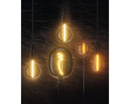 Plusieurs ampoules décoratives de formes et de designs différents sont suspendues à des câbles devant un mur sombre.