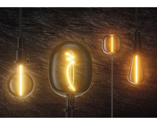 Vier Glühlampen in unterschiedlichen Formen und Designs