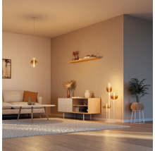 Salon avec canapé, table, commode, étagère, plante d'intérieur, lampadaire et suspension.