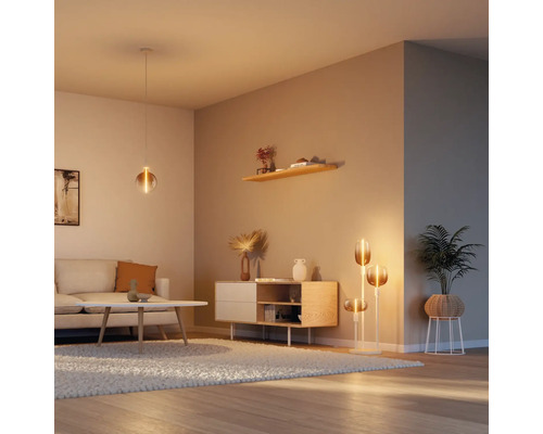 Salon avec canapé, table, commode, étagère, plante d'intérieur, lampadaire et suspension.