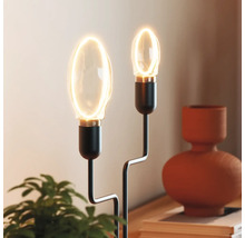 Tischleuchte mit zwei Leuchtmitteln