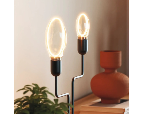 Tischleuchte mit zwei Leuchtmitteln