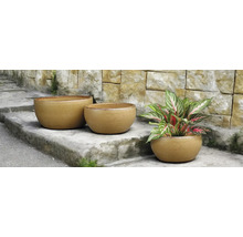 Drei runde Pflanzgefäße auf einer Steintreppe, eines davon mit Pflanze