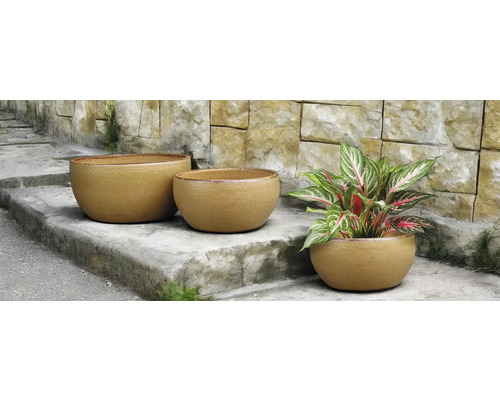 Drei runde Pflanzgefäße auf einer Steintreppe, eines davon mit Pflanze