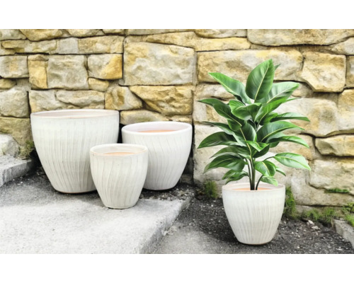 Gruppe von Pflanzgefässen mit gerillter Oberfläche und eine Zimmerpflanze vor einer Steinmauer