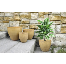 Anordnung von vier Pflanzgefässen auf einer Steintreppe mit einer Pflanze in einem der Gefässe.