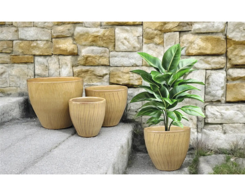 Anordnung von vier Pflanzgefässen auf einer Steintreppe mit einer Pflanze in einem der Gefässe.