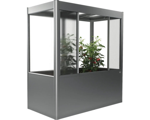 Hochbeet mit Gewächshausaufsatz und Tomatenpflanze