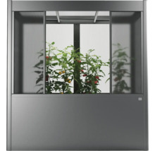 Gewächshaus mit Pflanzen