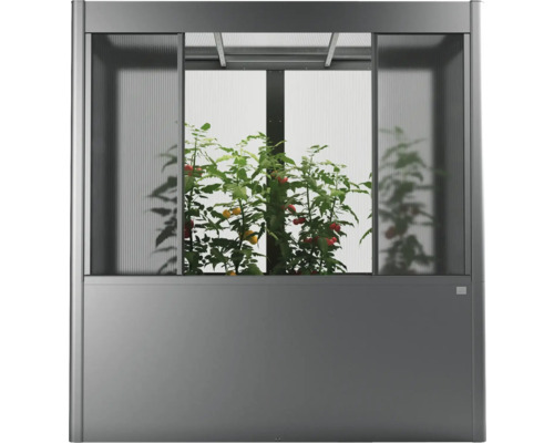 Gewächshaus mit Pflanzen