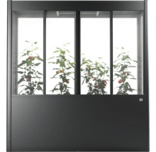 Gewächshaus mit Pflanzen