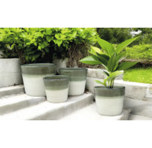 Pots de fleurs de différentes tailles sur un escalier à l'extérieur.