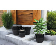 Pots de fleurs décoratifs de différentes tailles sur un escalier
