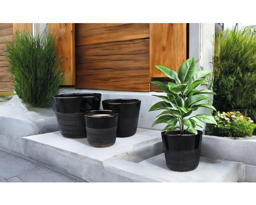 Pots de fleurs décoratifs de différentes tailles sur un escalier