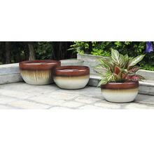 Drei Pflanzgefäße aus Keramik auf einer Steinterrasse, eines davon mit einer Zimmerpflanze.