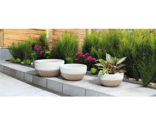 Scène avec trois pots de fleurs et des plantes dans le jardin