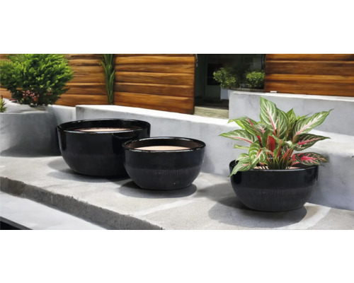 Trois pots de fleurs noirs de différentes tailles sur une marche en pierre avec des plantes