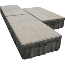 Pavés rectangulaires en béton