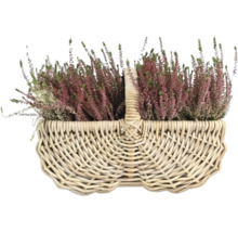 Besenheide in einem Weidenkorb