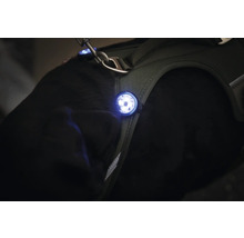 Hundegeschirr mit LED-Licht für bessere Sichtbarkeit