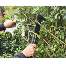 Person schneidet mit einer Astsäge Äste an einem Baum