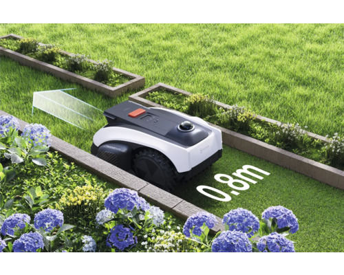 Robot tondeuse dans le jardin entre parterres et pelouses