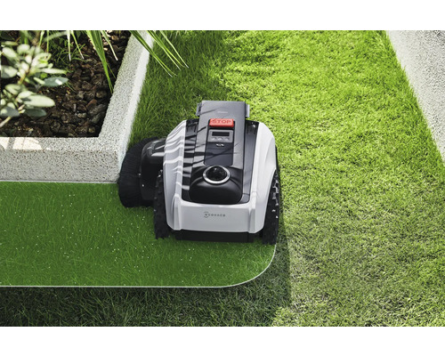 Robot tondeuse entretenant une pelouse dans un jardin.