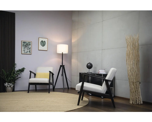 Idée d'aménagement intérieur avec deux fauteuils, un tapis, un lampadaire et des éléments décoratifs