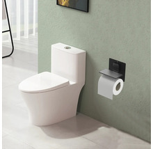 Scène de salle de bains avec toilettes et porte-papier hygiénique