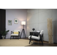 Salon avec fauteuils, lampadaire et tapis