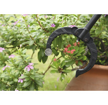 Greifzange zum Aufheben einer Münze vor Pflanzen