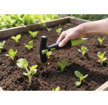 Gartenszene mit Saatgut Pflanzwerkzeug im Einsatz in einem Hochbeet mit jungen Pflanzen.