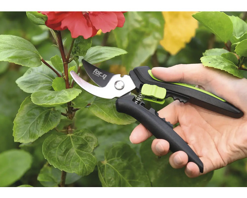 Gartenschere im Einsatz an einer Pflanze