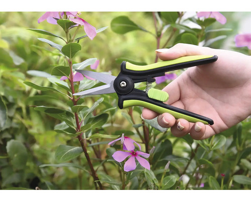 Gartenschere im Einsatz zum Beschneiden von Pflanzen