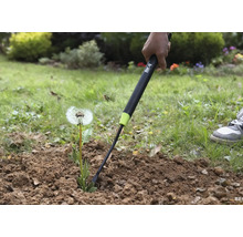 Nahaufnahme einer Person, die mit einem Unkrautstecher einen Löwenzahn aus dem Boden entfernt